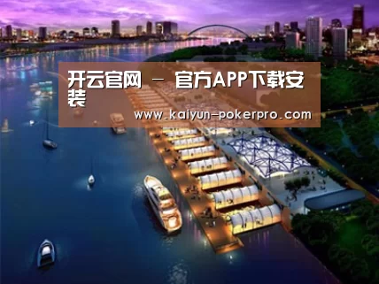 案例展示八