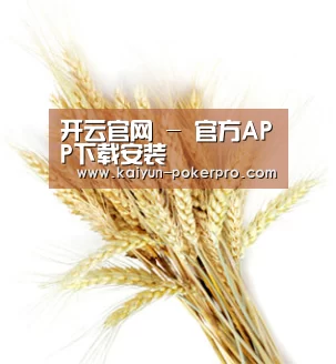 开云官网 - 官方APP下载安装