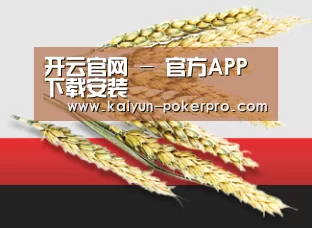 开云官网 - 官方APP下载安装