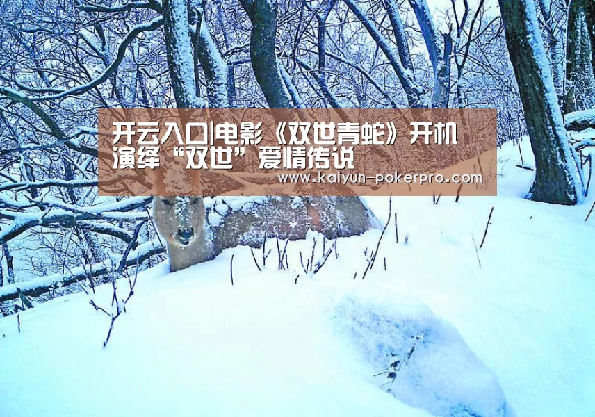 开云入口|电影《双世青蛇》开机 演绎“双世”爱情传说(图3) 开云入口