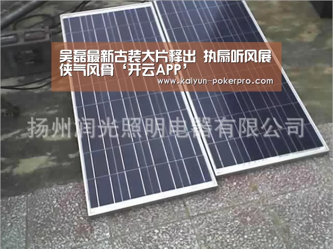 吴磊最新古装大片释出 执扇听风展侠气风骨‘开云APP’(图2) 开云下载