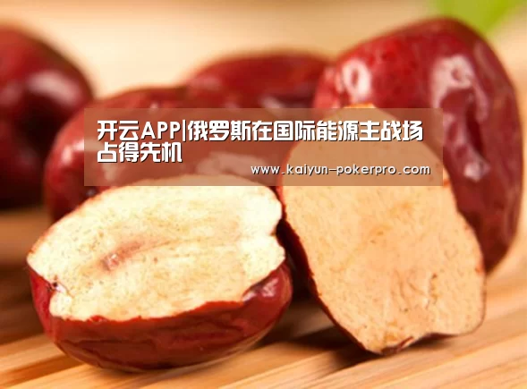 开云APP|俄罗斯在国际能源主战场占得先机(图3) 开云官网