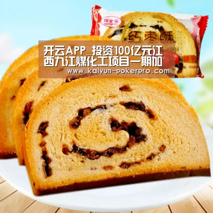 开云APP_投资100亿元江西九江煤化工项目一期加快建设(图2) 开云APP