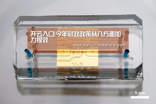 开云入口|今年财政政策从八方面加力提效(图2) 开云入口