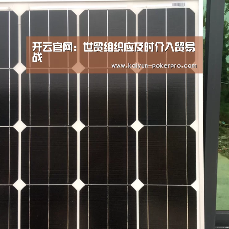 开云官网:世贸组织应及时介入贸易战(图3) 开云下载
