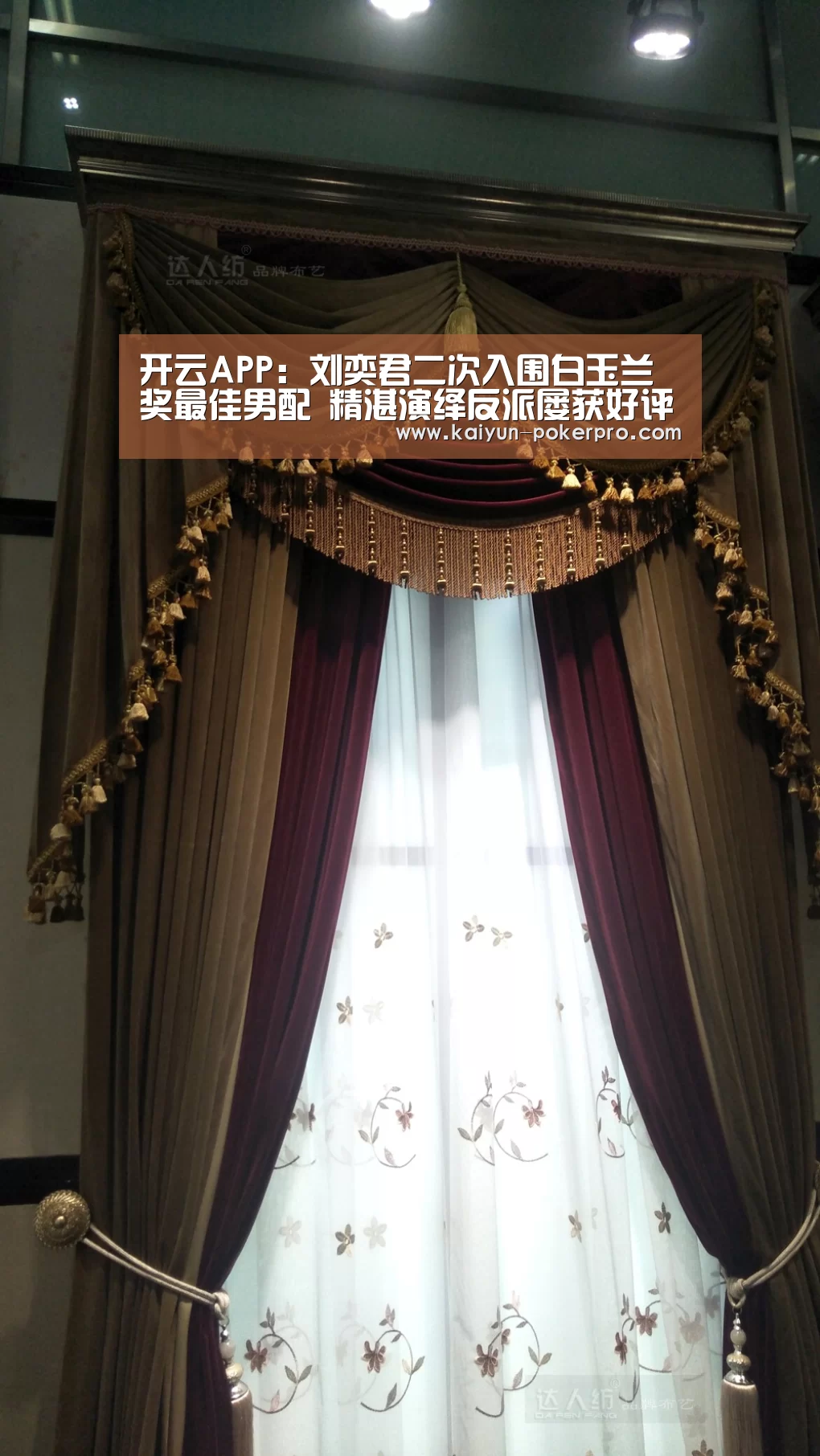 开云入口